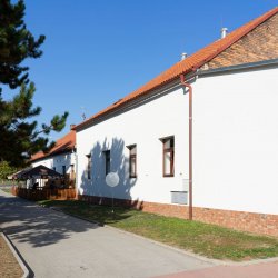 DSC08632