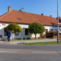 DSC08634